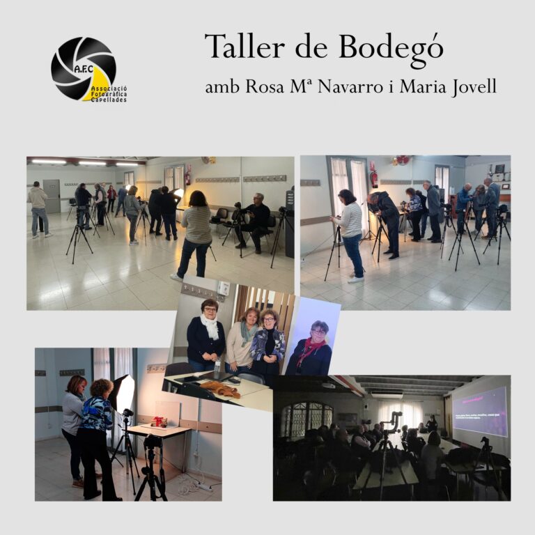 Taller de bodegó a Cal Ponet