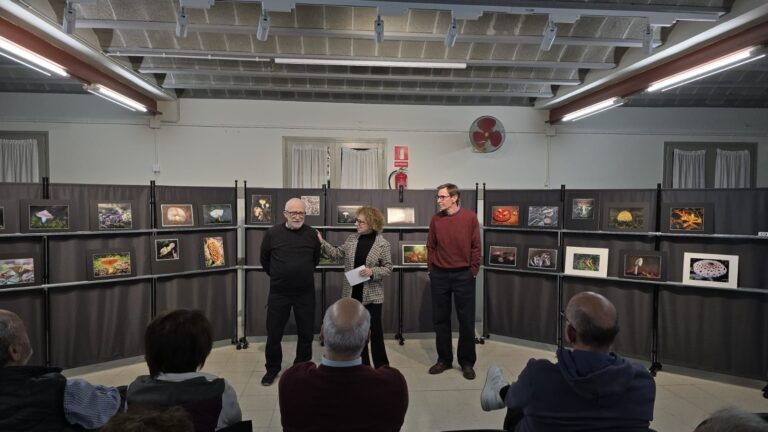 Social Novembre 2025/26