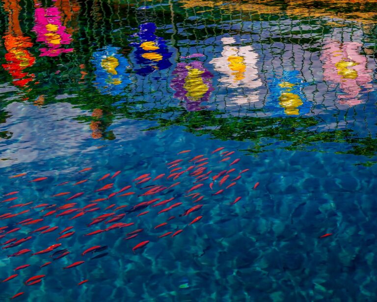 7è Ral·li Mercat Figueter de Capellades